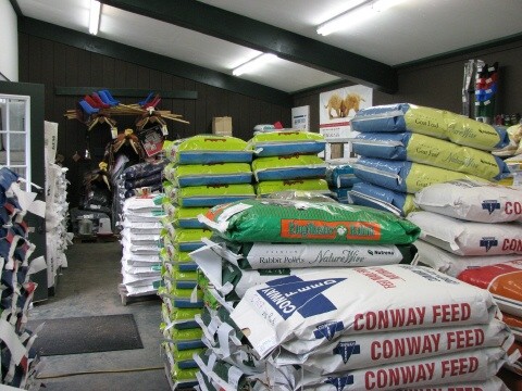 Horse Feed