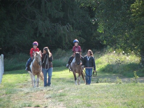 Horseback Riding Lessons