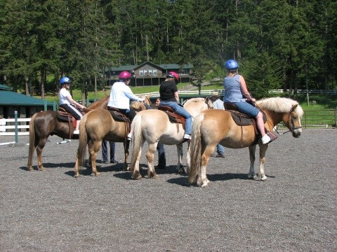 Horse Rental